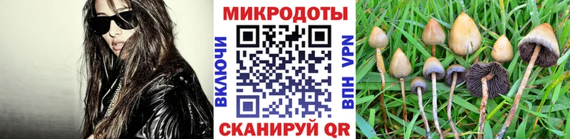 наркота Абакан KRAKEN онион Псилоцибиновые грибы MAGIC MUSHROOMS