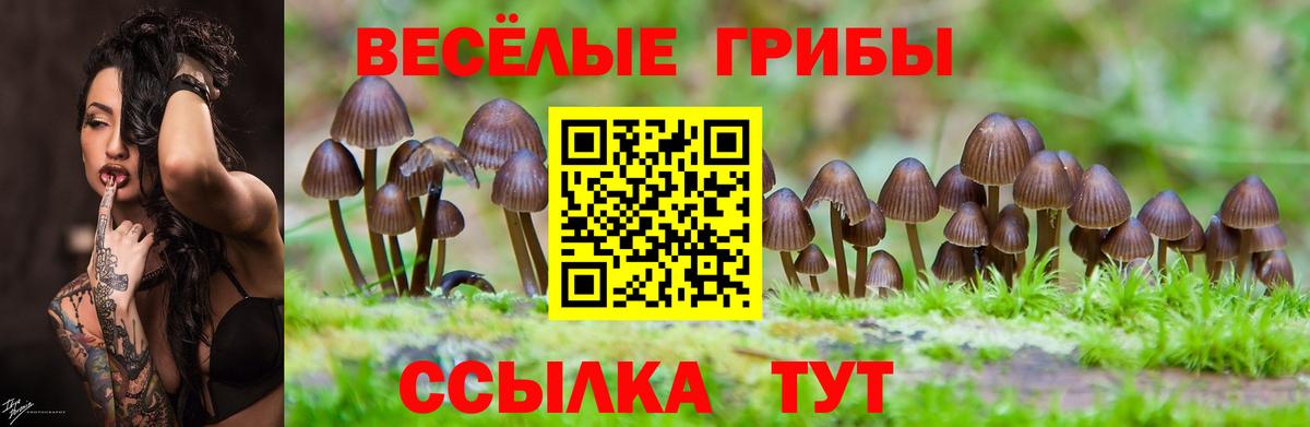 Галлюциногенные грибы мухоморы  наркошоп  Абакан  Вход с VPN 